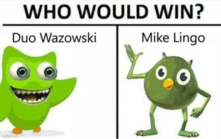 somebody get me anesthetics, i'm laughing way too hard at this | image tagged in memes,mike wazowski,duolingo,who would win | made w/ Imgflip meme maker
