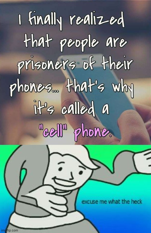 "cell" phone | image tagged in excuse me what the heck,cell phone | made w/ Imgflip meme maker