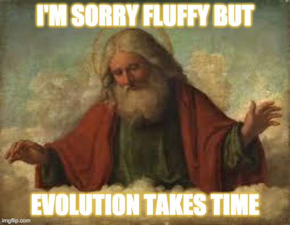 god | I'M SORRY FLUFFY BUT EVOLUTION TAKES TIME | image tagged in god | made w/ Imgflip meme maker