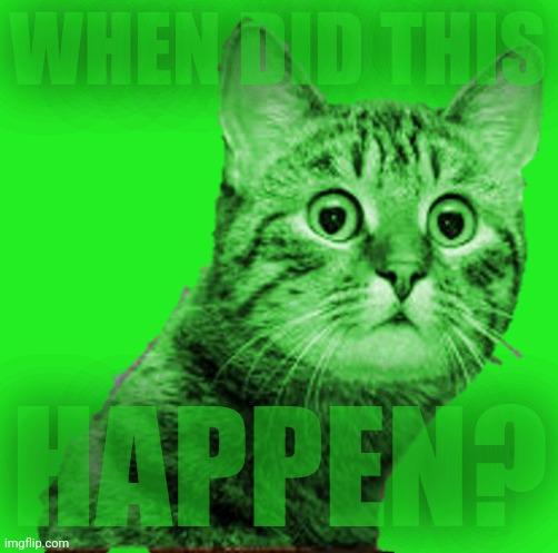 WTF RayCat sticker | WHEN DID THIS HAPPEN? | image tagged in wtf raycat sticker | made w/ Imgflip meme maker