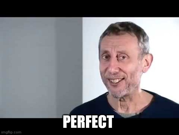 noice | PERFECT | image tagged in noice | made w/ Imgflip meme maker