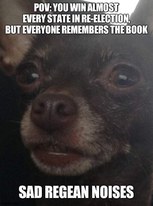 That must hurt for Regean | POV: YOU WIN ALMOST EVERY STATE IN RE-ELECTION, BUT EVERYONE REMEMBERS THE BOOK; SAD REGEAN NOISES | image tagged in sad realization dog,ronald reagan | made w/ Imgflip meme maker