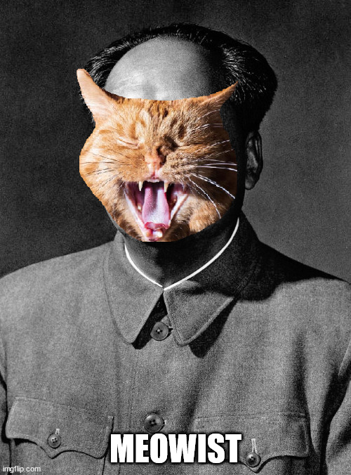 Meowist | MEOWIST | image tagged in maoism,mao,meow,cats | made w/ Imgflip meme maker