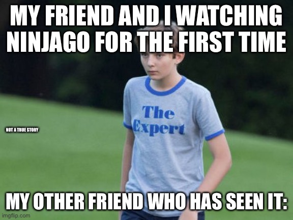The Expert | MY FRIEND AND I WATCHING NINJAGO FOR THE FIRST TIME; NOT A TRUE STORY; MY OTHER FRIEND WHO HAS SEEN IT: | image tagged in the expert | made w/ Imgflip meme maker