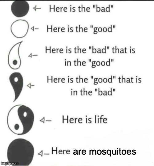 Here is Life | are mosquitoes | image tagged in here is life | made w/ Imgflip meme maker