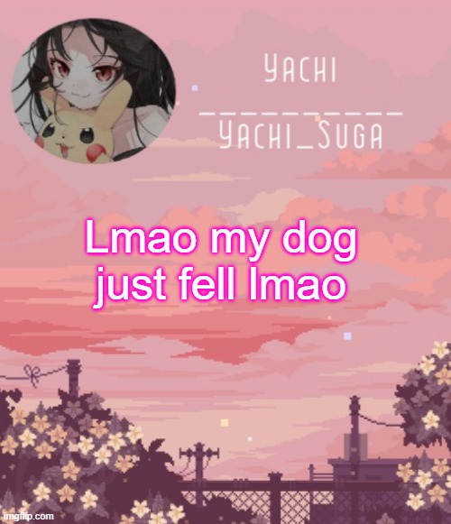 Yachis temp | Lmao my dog just fell lmao | image tagged in yachis temp | made w/ Imgflip meme maker