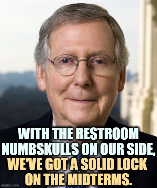 That's what's called a Royal Flush. | WITH THE RESTROOM NUMBSKULLS ON OUR SIDE, WE'VE GOT A SOLID LOCK 
ON THE MIDTERMS. | image tagged in mitch mcconnel,gop,republican,idiots,toilet,vote | made w/ Imgflip meme maker