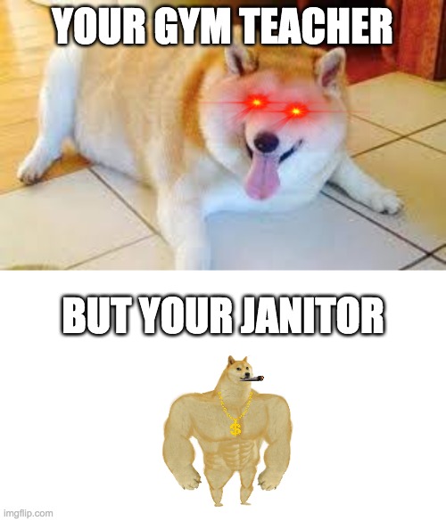 Janitor vs Gym Teacher |  YOUR GYM TEACHER; BUT YOUR JANITOR | image tagged in thicc doggo,bodybuilding,fat,six pack doggo | made w/ Imgflip meme maker