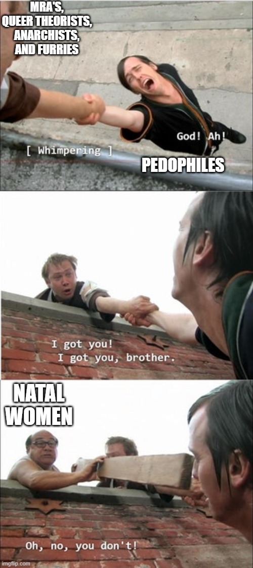 It's Always Sunny In Philadelphia Roof Meme |  MRA'S, QUEER THEORISTS, ANARCHISTS, AND FURRIES; PEDOPHILES; NATAL WOMEN | image tagged in it's always sunny in philadelphia roof meme | made w/ Imgflip meme maker