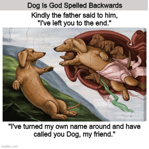 Dog Is God Spelled Backwards | image tagged in god,dogs,dog,creation,funny,memes | made w/ Imgflip meme maker