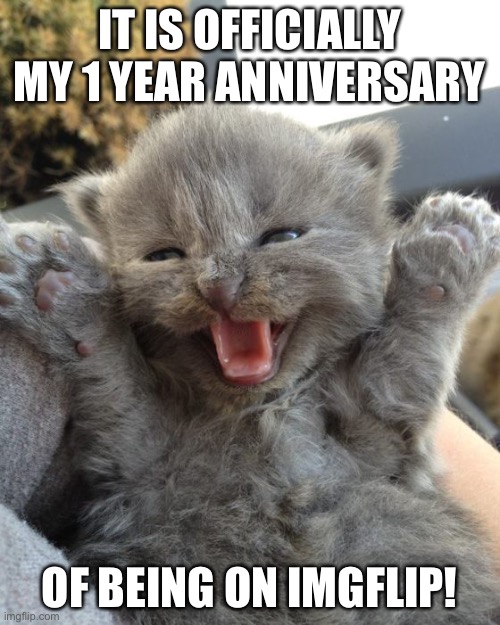 (tho i didn’t really post much until late may or early June) | IT IS OFFICIALLY MY 1 YEAR ANNIVERSARY; OF BEING ON IMGFLIP! | image tagged in yay kitty,imgflip | made w/ Imgflip meme maker