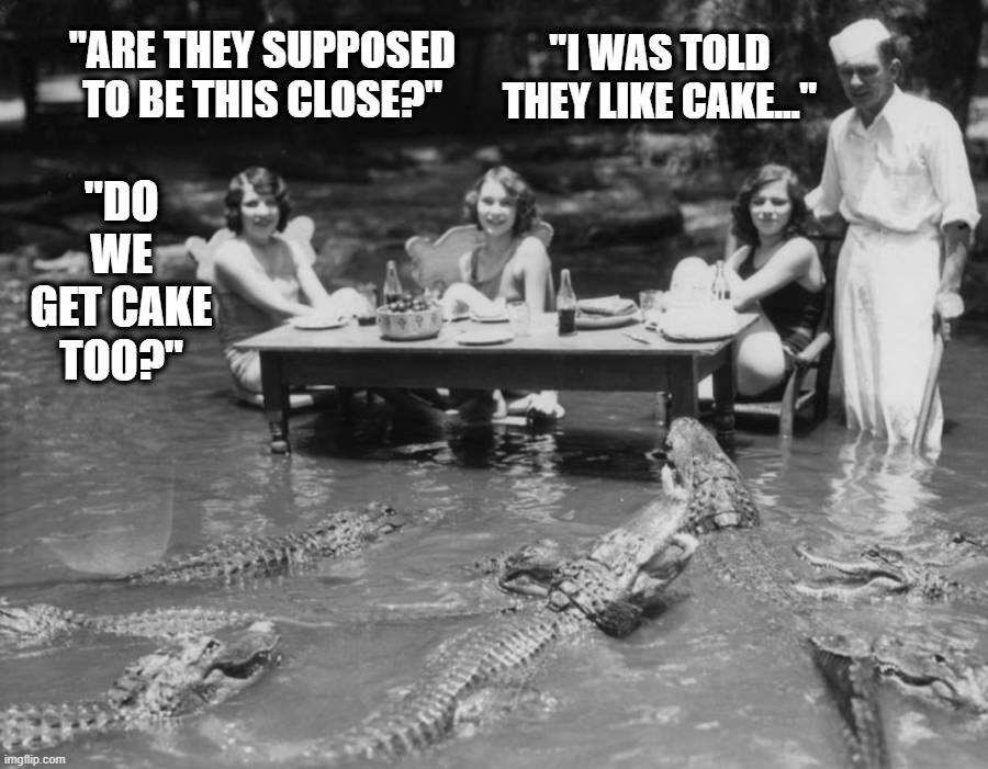 Reginald, Helen, Babs and Ethel Give A Party for Alligators | "I WAS TOLD THEY LIKE CAKE..."; "ARE THEY SUPPOSED TO BE THIS CLOSE?"; "DO WE GET CAKE TOO?" | image tagged in funny | made w/ Imgflip meme maker