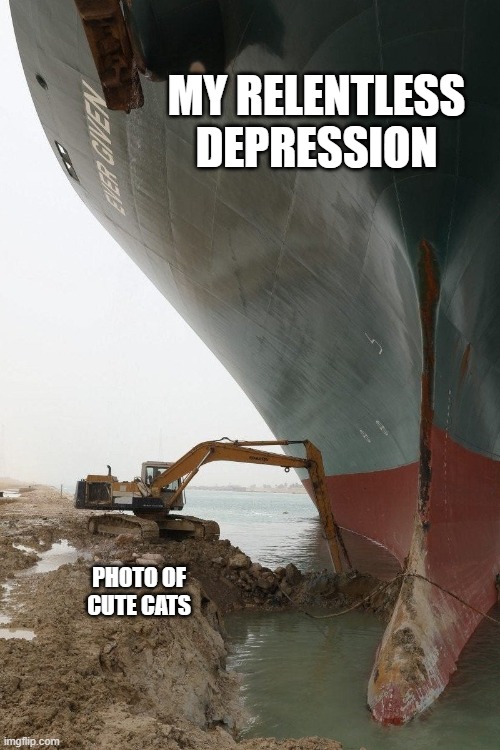 evergreen depression | MY RELENTLESS DEPRESSION; PHOTO OF CUTE CATS | image tagged in depression,cats,digger | made w/ Imgflip meme maker