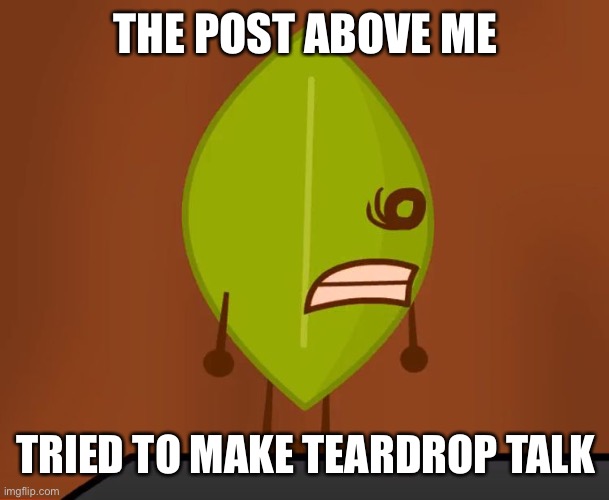 BFDI "Wat" Face | THE POST ABOVE ME; TRIED TO MAKE TEARDROP TALK | image tagged in bfdi wat face | made w/ Imgflip meme maker