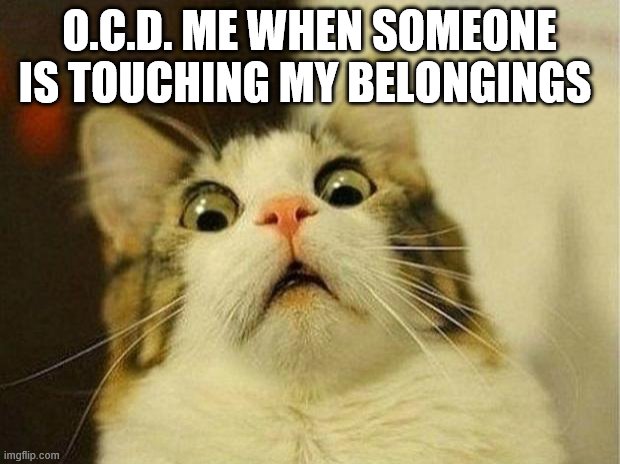 I like where they were >.> |  O.C.D. ME WHEN SOMEONE IS TOUCHING MY BELONGINGS | image tagged in memes,scared cat | made w/ Imgflip meme maker