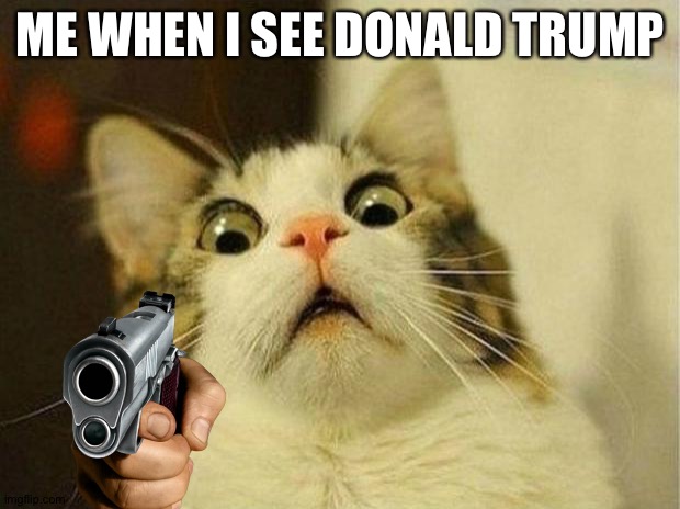 Scared Cat | ME WHEN I SEE DONALD TRUMP | image tagged in memes,scared cat | made w/ Imgflip meme maker