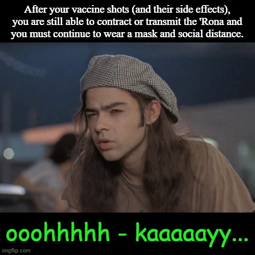 Sheep frighten easily. | After your vaccine shots (and their side effects),
you are still able to contract or transmit the 'Rona and
you must continue to wear a mask and social distance. ooohhhhh - kaaaaayy... | image tagged in liberal logic,fear and loathing,cnn fake news,msm lies,wuhan,vaccines | made w/ Imgflip meme maker