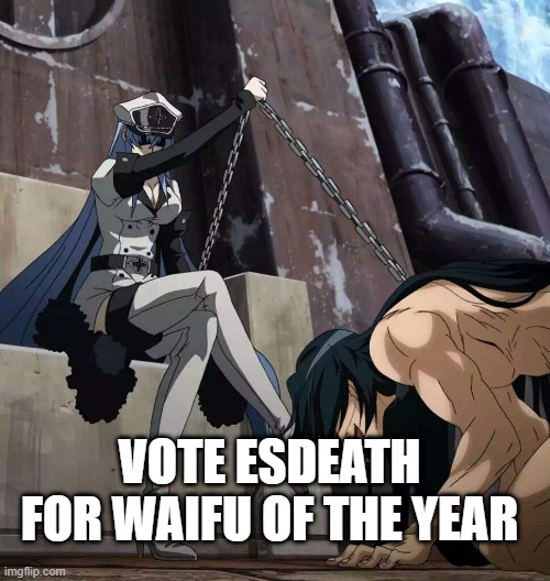 Esdeath | VOTE ESDEATH FOR WAIFU OF THE YEAR | image tagged in esdeath | made w/ Imgflip meme maker