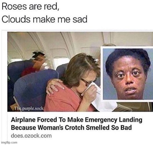 a poem for you | image tagged in memes,funny,lol | made w/ Imgflip meme maker