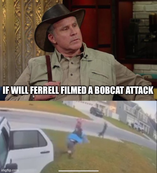 No doubt | IF WILL FERRELL FILMED A BOBCAT ATTACK | image tagged in bobcat,bobcat attack,funny,memes | made w/ Imgflip meme maker