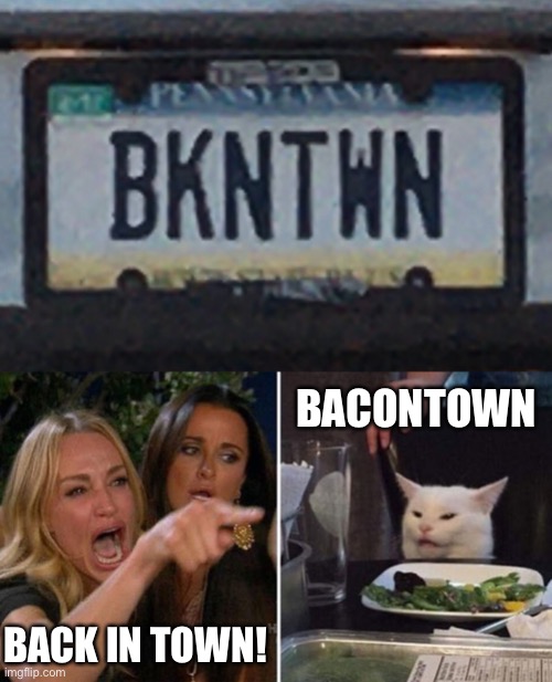Back or Bacon? | BACONTOWN; BACK IN TOWN! | image tagged in angry lady cat | made w/ Imgflip meme maker