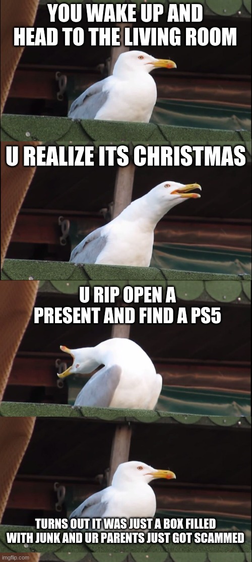 Inhaling Seagull | YOU WAKE UP AND HEAD TO THE LIVING ROOM; U REALIZE ITS CHRISTMAS; U RIP OPEN A PRESENT AND FIND A PS5; TURNS OUT IT WAS JUST A BOX FILLED WITH JUNK AND UR PARENTS JUST GOT SCAMMED | image tagged in memes,inhaling seagull | made w/ Imgflip meme maker