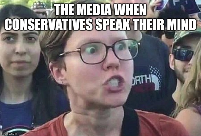 Triggered Liberal | THE MEDIA WHEN CONSERVATIVES SPEAK THEIR MIND | image tagged in triggered liberal | made w/ Imgflip meme maker