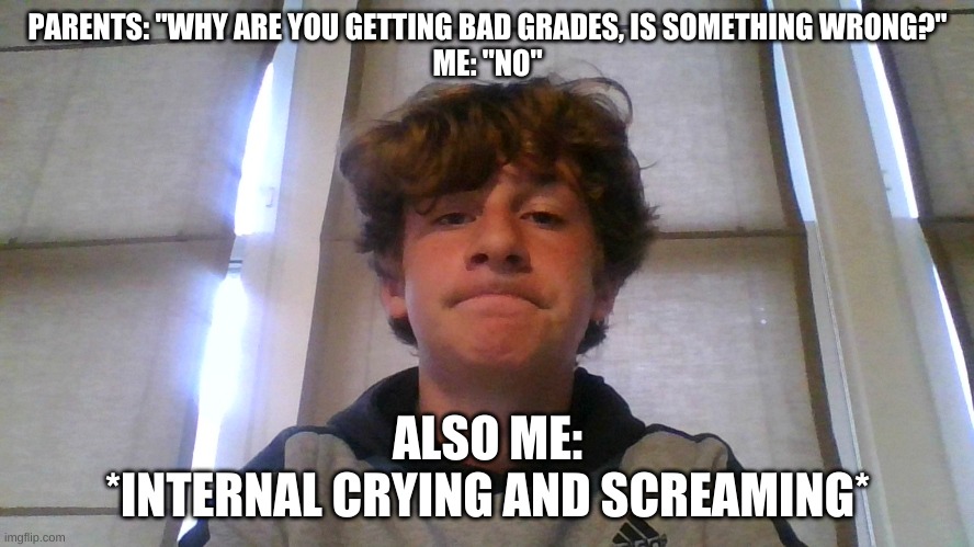 Nothing is wrong at all... | PARENTS: "WHY ARE YOU GETTING BAD GRADES, IS SOMETHING WRONG?"
ME: "NO"; ALSO ME:
*INTERNAL CRYING AND SCREAMING* | image tagged in reeeeeee | made w/ Imgflip meme maker