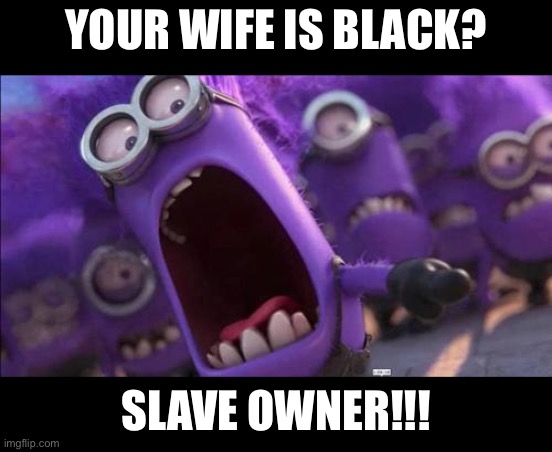 Purple Minion | YOUR WIFE IS BLACK? SLAVE OWNER!!! | image tagged in purple minion | made w/ Imgflip meme maker