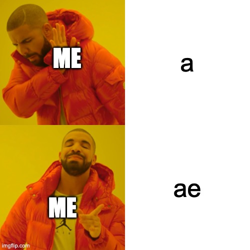 a ae ME ME | image tagged in memes,drake hotline bling | made w/ Imgflip meme maker