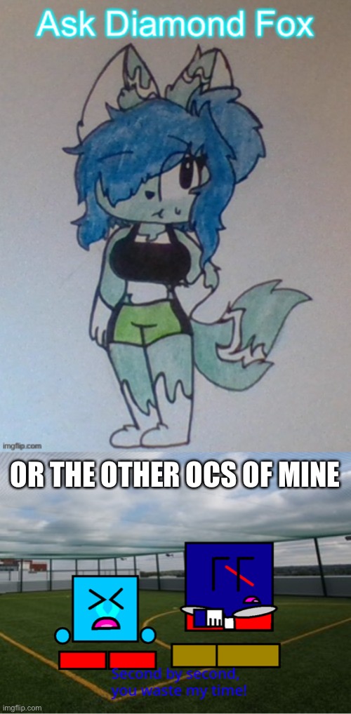 OR THE OTHER OCS OF MINE | image tagged in cuber second by second you waste my time | made w/ Imgflip meme maker