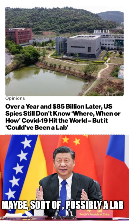 Politics and stuff | MAYBE, SORT OF , POSSIBLY A LAB | image tagged in funny memes | made w/ Imgflip meme maker