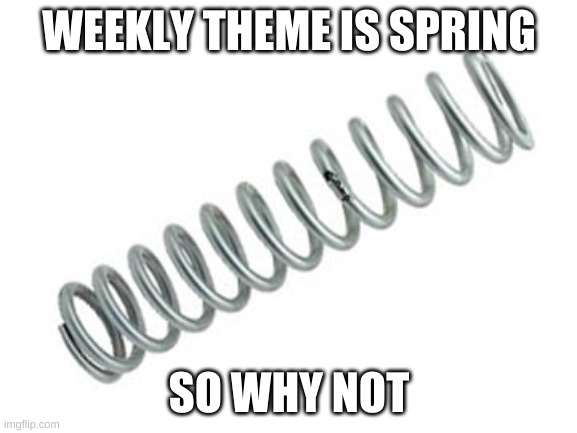 WEEKLY THEME IS SPRING; SO WHY NOT | made w/ Imgflip meme maker