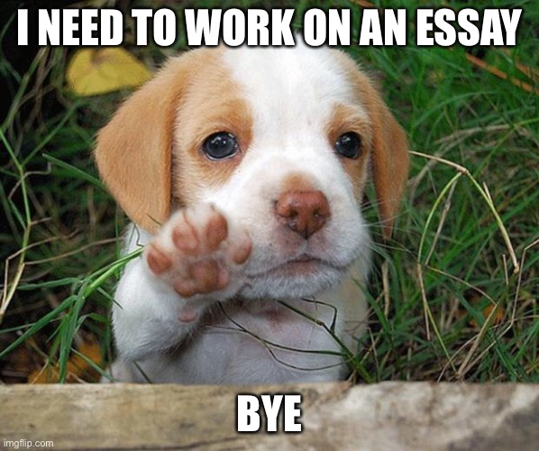 dog puppy bye | I NEED TO WORK ON AN ESSAY; BYE | image tagged in dog puppy bye | made w/ Imgflip meme maker