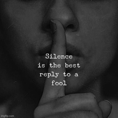 Silence is the best reply to a fool | image tagged in silence is the best reply to a fool | made w/ Imgflip meme maker