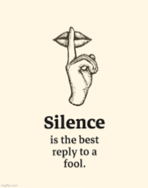Silence is the best reply to a fool | image tagged in silence is the best reply to a fool | made w/ Imgflip meme maker