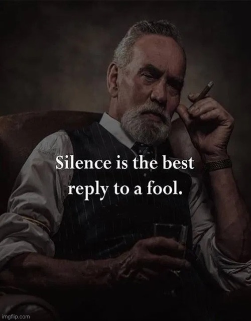 Silence is the best reply to a fool | image tagged in silence is the best reply to a fool | made w/ Imgflip meme maker