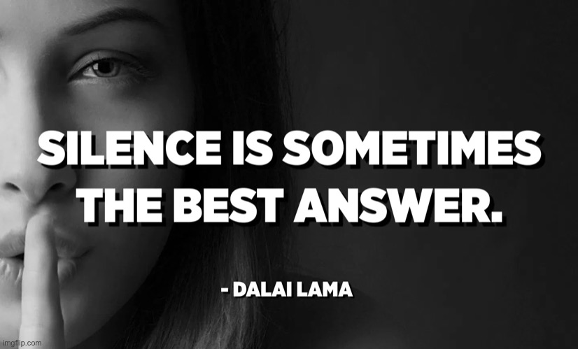 Dalai Lama | image tagged in silence is sometimes the best answer,dalai lama,dalai-lama,words of wisdom,wisdom,internet trolls | made w/ Imgflip meme maker