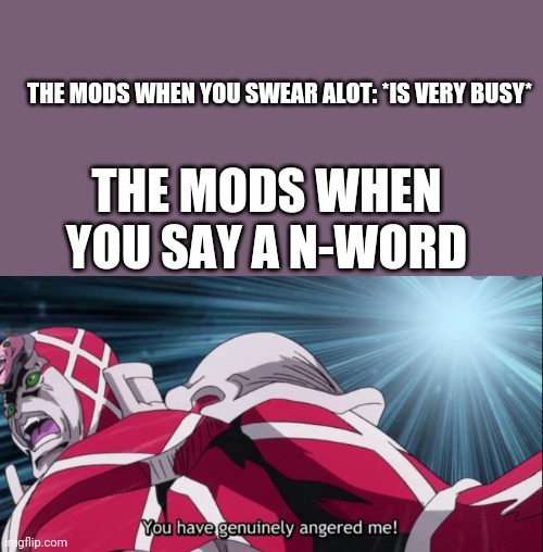 You have genuinely angered me! | THE MODS WHEN YOU SWEAR ALOT: *IS VERY BUSY*; THE MODS WHEN YOU SAY A N-WORD | image tagged in you have genuinely angered me | made w/ Imgflip meme maker