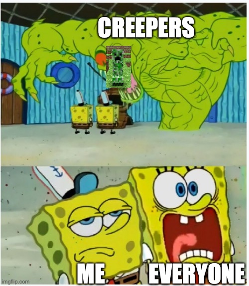 SpongeBob SquarePants scared but also not scared | CREEPERS; EVERYONE; ME | image tagged in spongebob squarepants scared but also not scared,creeper,aw man | made w/ Imgflip meme maker