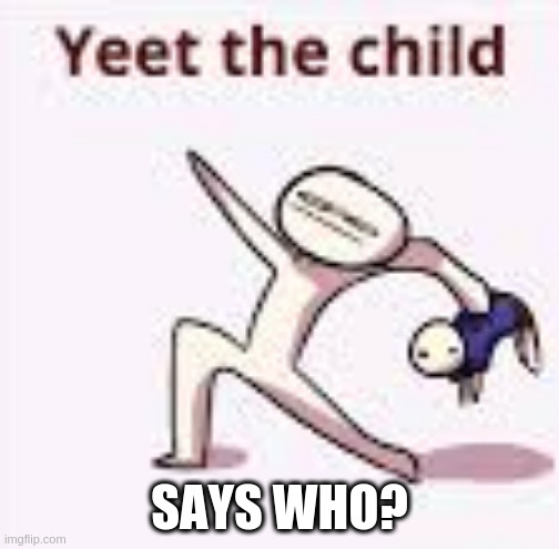 single yeet the child panel | SAYS WHO? | image tagged in single yeet the child panel | made w/ Imgflip meme maker