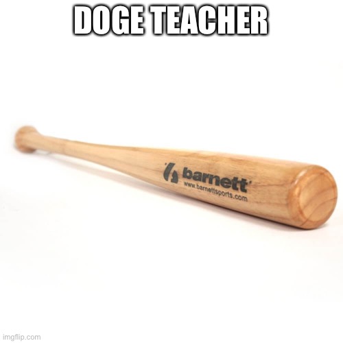 baseball bat | DOGE TEACHER | image tagged in baseball bat | made w/ Imgflip meme maker