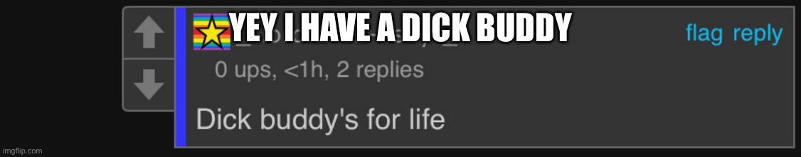 This sounds so wrong out of context- | YEY I HAVE A DICK BUDDY | made w/ Imgflip meme maker