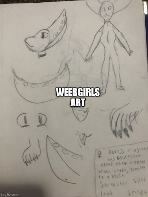 She is me! | WEEBGIRLS ART | image tagged in furry,fursona | made w/ Imgflip meme maker
