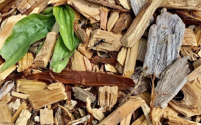 Yes, I took this | made w/ Imgflip meme maker