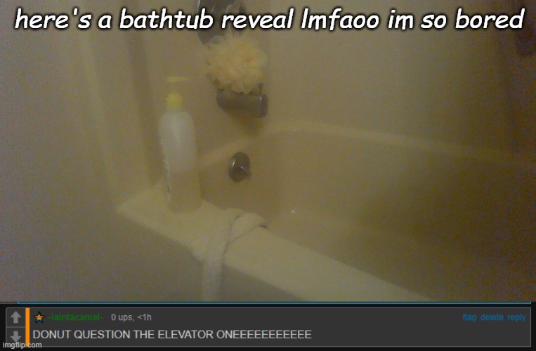 here's a bathtub reveal lmfaoo im so bored | image tagged in elevator one | made w/ Imgflip meme maker