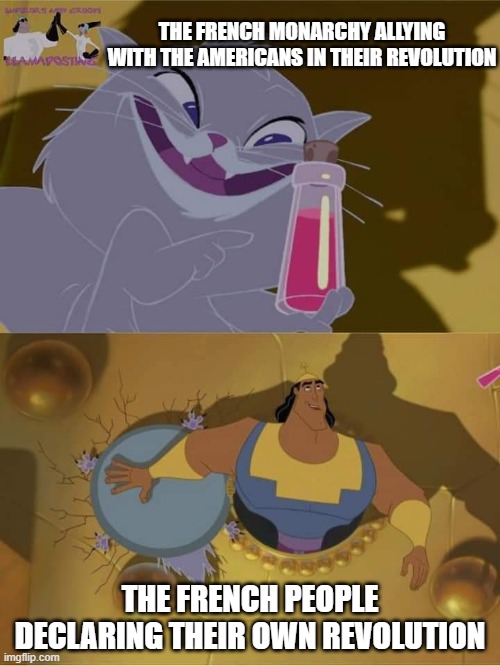 Revolutions |  THE FRENCH MONARCHY ALLYING WITH THE AMERICANS IN THEIR REVOLUTION; THE FRENCH PEOPLE DECLARING THEIR OWN REVOLUTION | image tagged in yzma emperor's new groove,french revolution,history memes,american revolution | made w/ Imgflip meme maker