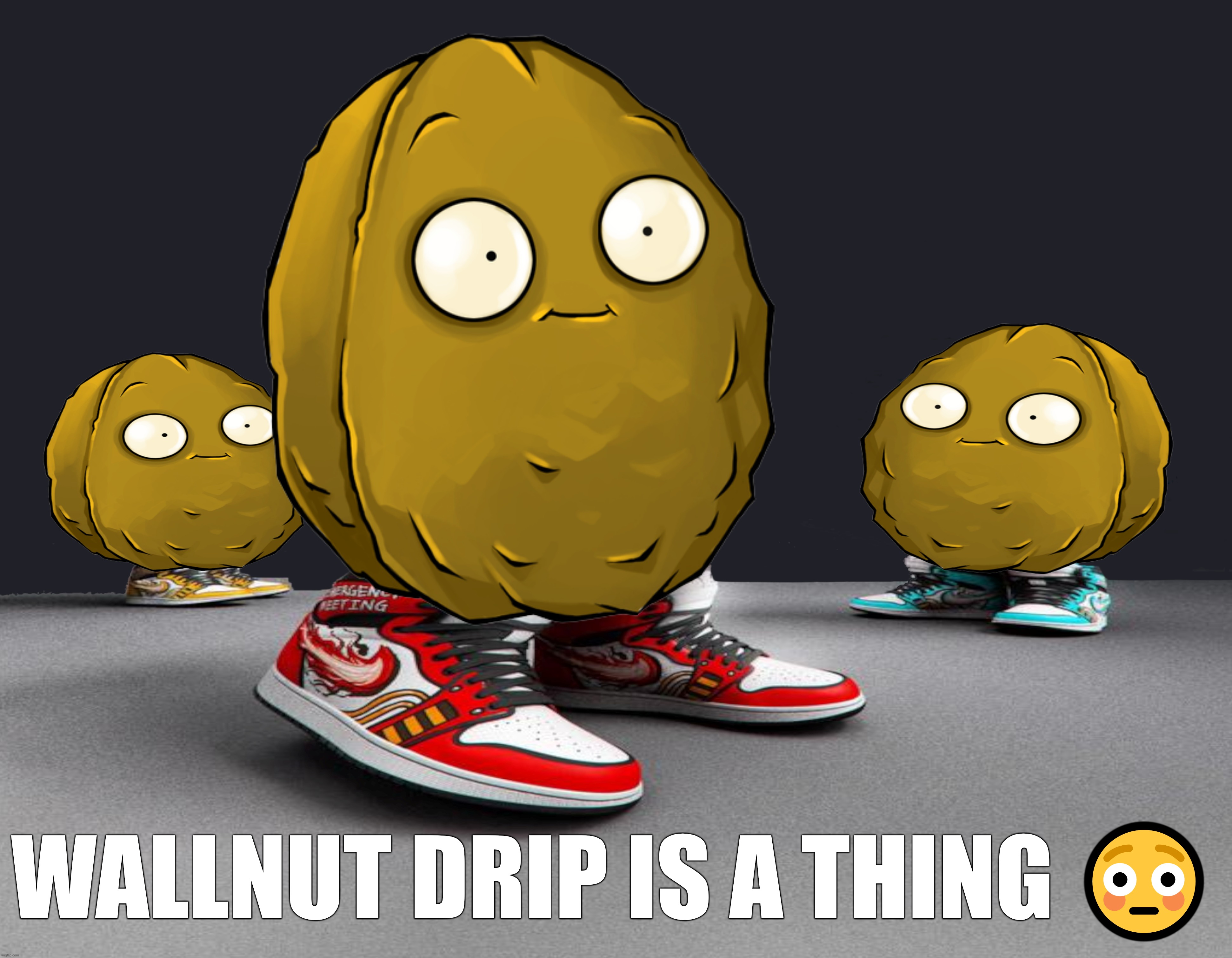 https://www.youtube.com/watch?v=oWCEWPgGyCA | WALLNUT DRIP IS A THING 😳 | made w/ Imgflip meme maker