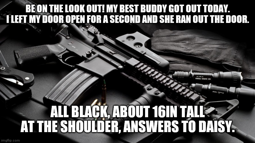Lost friend | BE ON THE LOOK OUT! MY BEST BUDDY GOT OUT TODAY. I LEFT MY DOOR OPEN FOR A SECOND AND SHE RAN OUT THE DOOR. ALL BLACK, ABOUT 16IN TALL AT THE SHOULDER, ANSWERS TO DAISY. | image tagged in ar15,lost,daisy,best friends | made w/ Imgflip meme maker