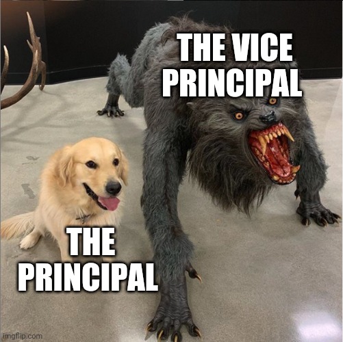 dog vs werewolf | THE VICE PRINCIPAL; THE PRINCIPAL | image tagged in dog vs werewolf | made w/ Imgflip meme maker